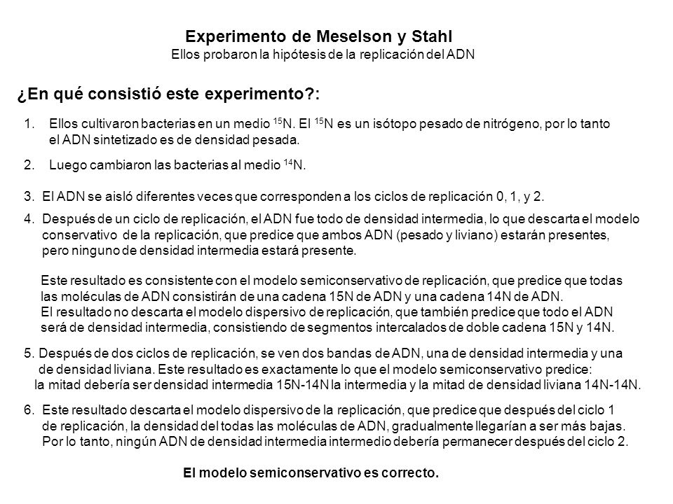 Experimento de Meselson y Stahl