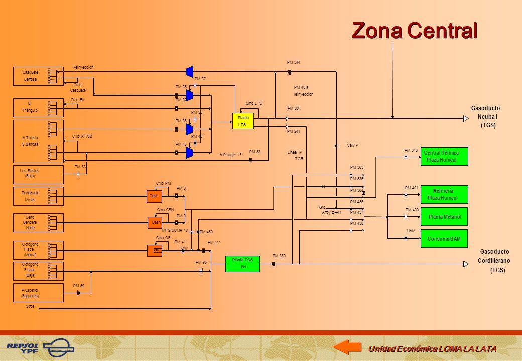 Zona Central Gasoducto Neuba I (TGS) Gasoducto Cordillerano (TGS)