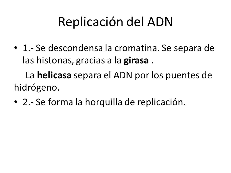 Replicación del ADN 1.- Se descondensa la cromatina. Se separa de las histonas, gracias a la girasa .