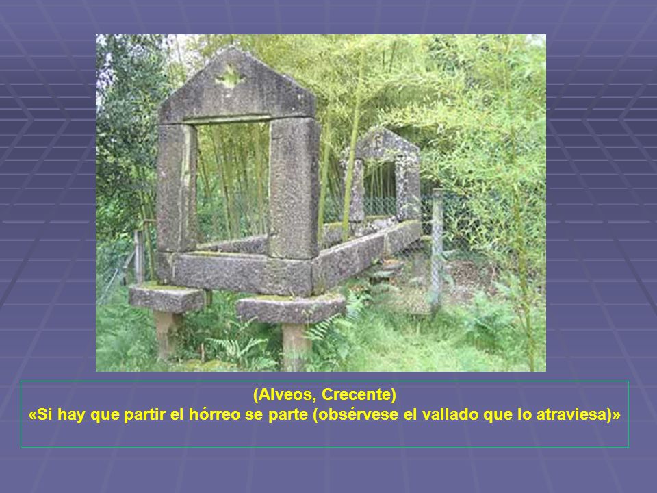 (Alveos, Crecente) «Si hay que partir el hórreo se parte (obsérvese el vallado que lo atraviesa)»