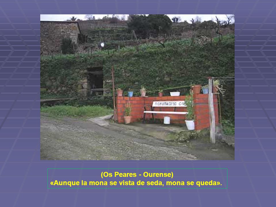 «Aunque la mona se vista de seda, mona se queda».