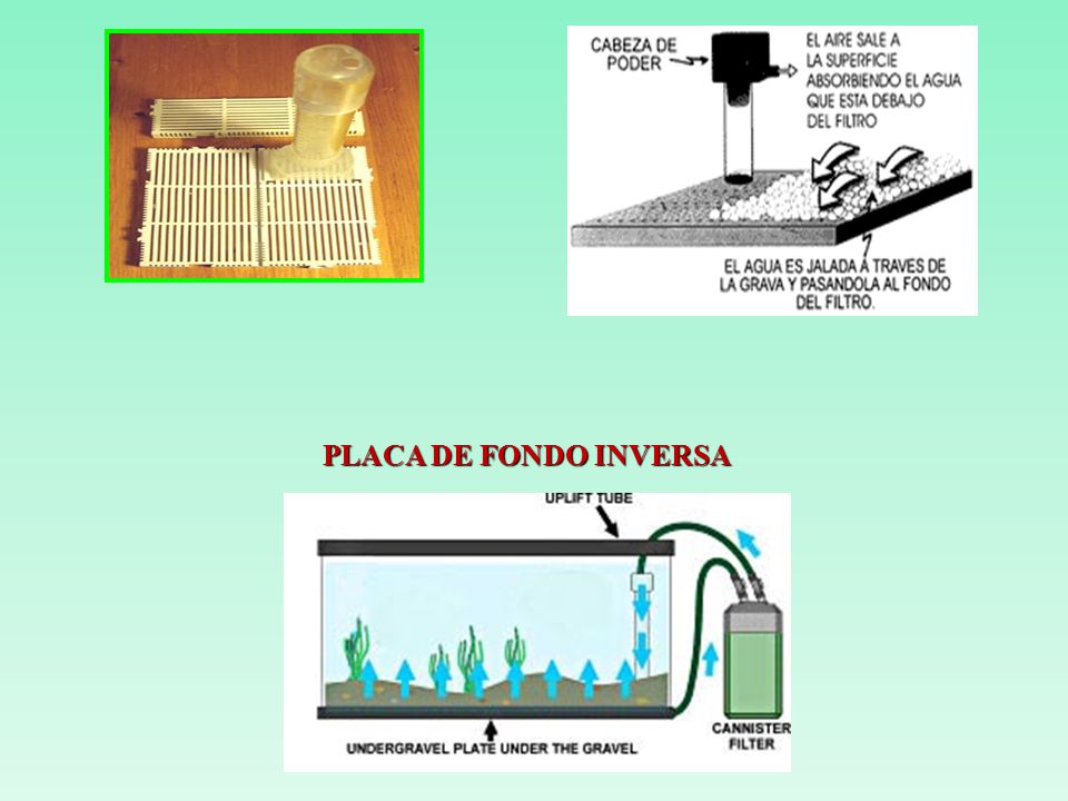 PLACA DE FONDO INVERSA