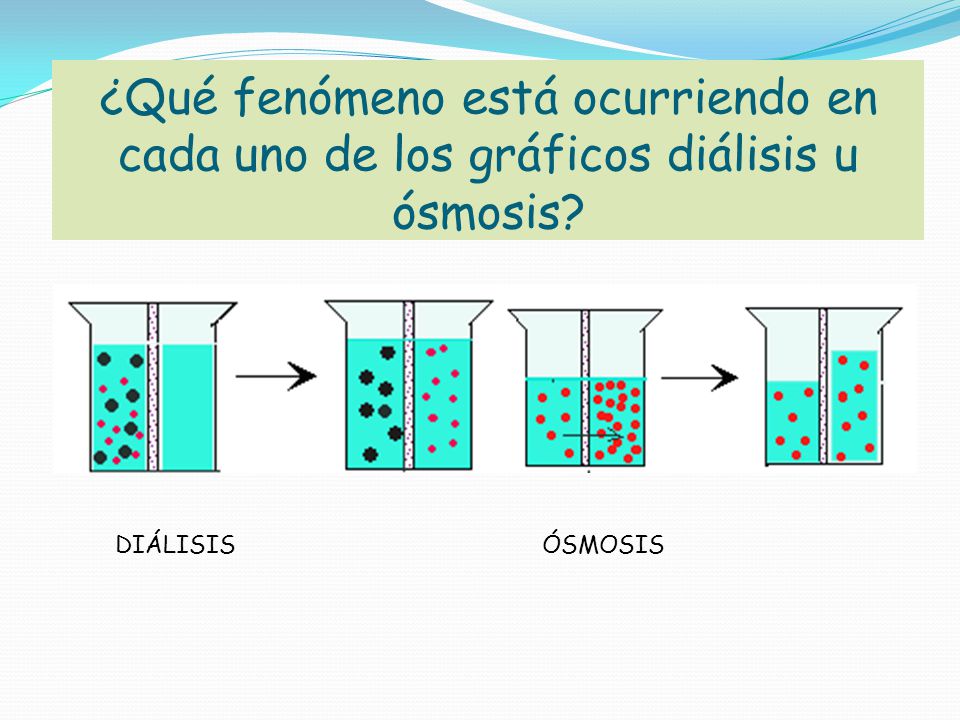 ¿Qué fenómeno está ocurriendo en cada uno de los gráficos diálisis u ósmosis
