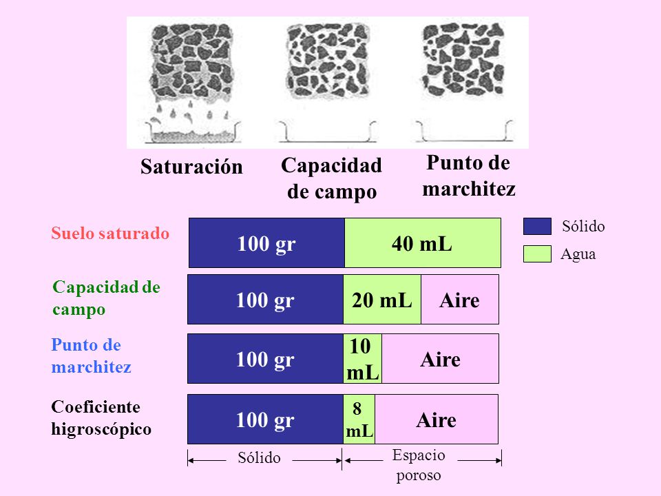 Capacidad de campo Punto de marchitez 100 gr 40 mL 20 mL Aire 10 mL
