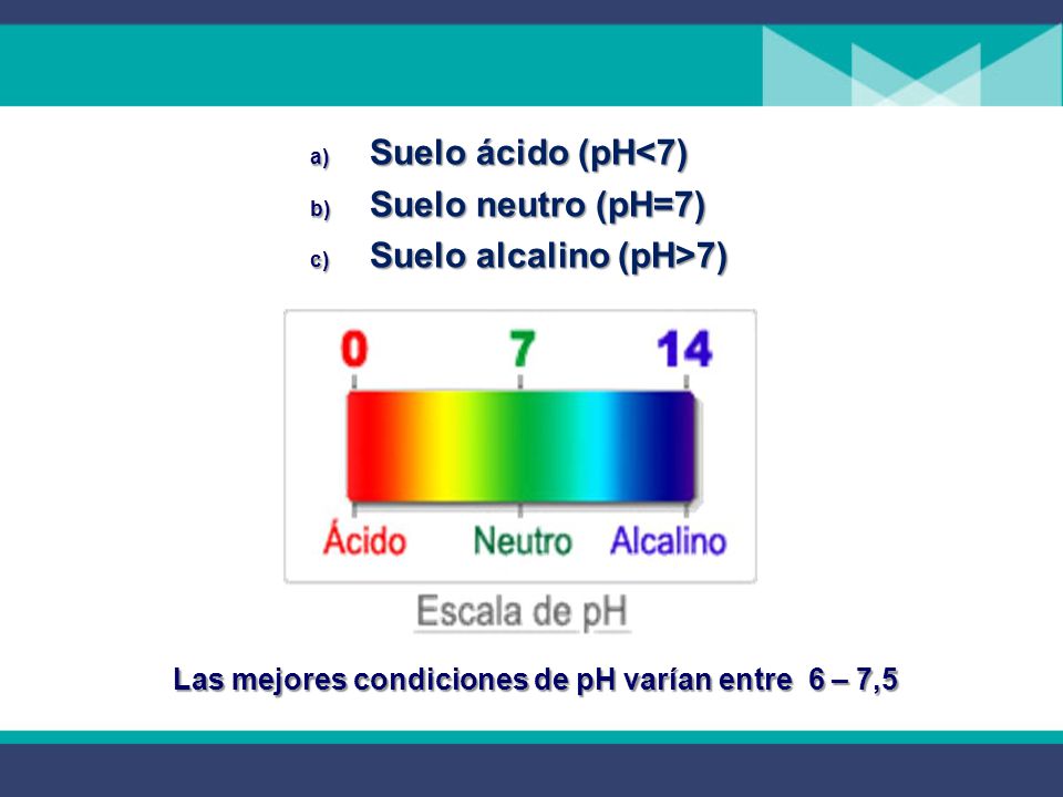 Las mejores condiciones de pH varían entre 6 – 7,5
