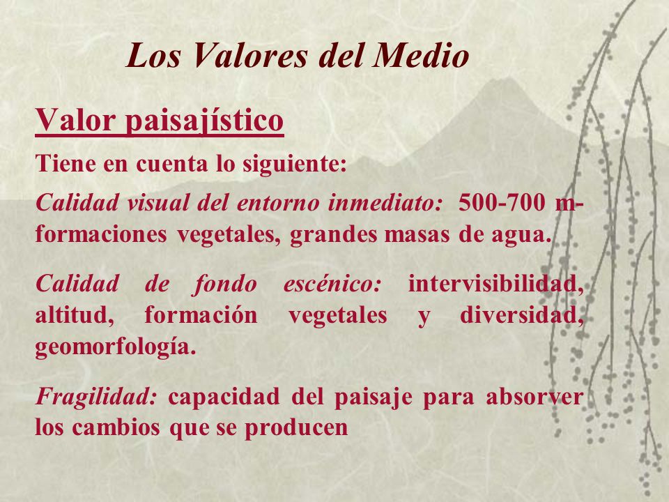 Los Valores del Medio Valor paisajístico Tiene en cuenta lo siguiente: