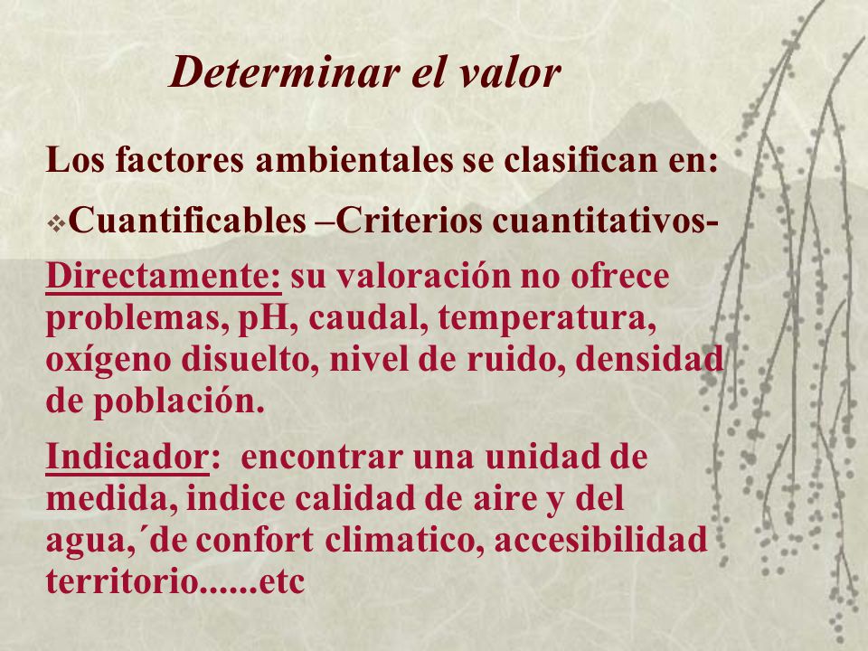 Determinar el valor Los factores ambientales se clasifican en: