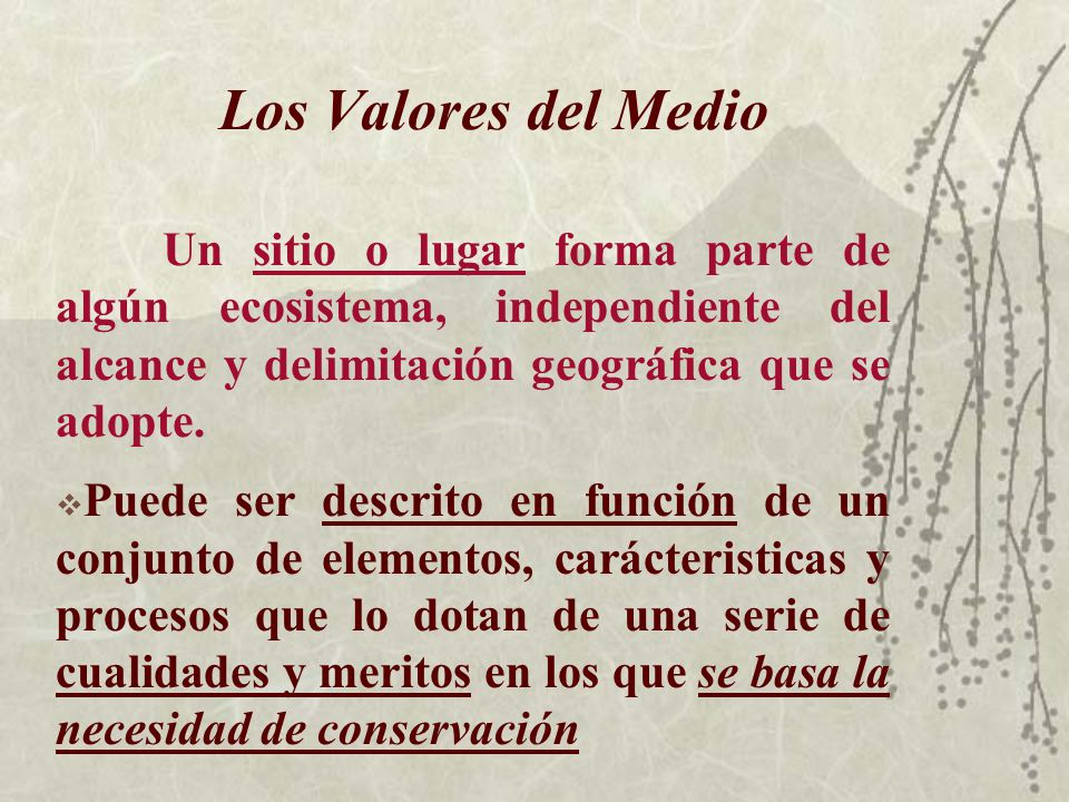 Los Valores del Medio Un sitio o lugar forma parte de algún ecosistema, independiente del alcance y delimitación geográfica que se adopte.