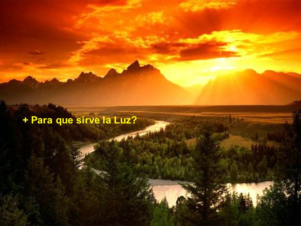 + Para que sirve la Luz - Para mostrar el camino... la belleza presente en la naturaleza. Sin la luz no la podemos ver...