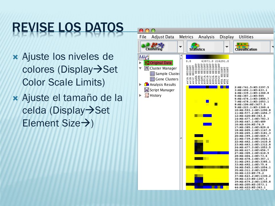 Revise los Datos Ajuste los niveles de colores (DisplaySet Color Scale Limits) Ajuste el tamaño de la celda (DisplaySet Element Size)