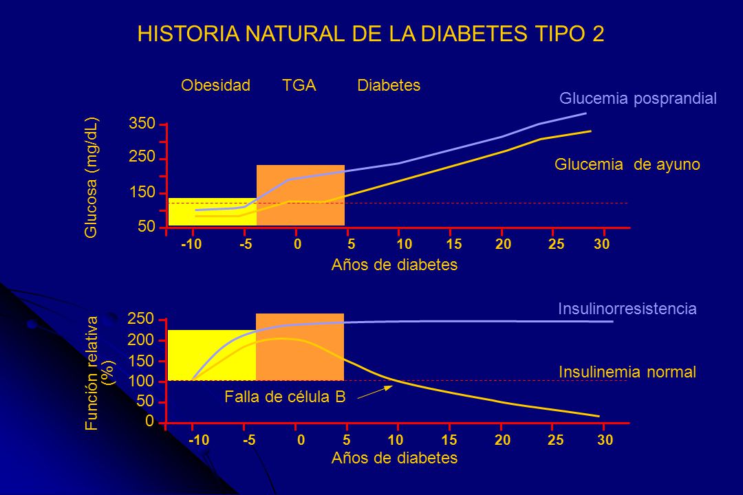 HISTORIA NATURAL DE LA DIABETES TIPO 2