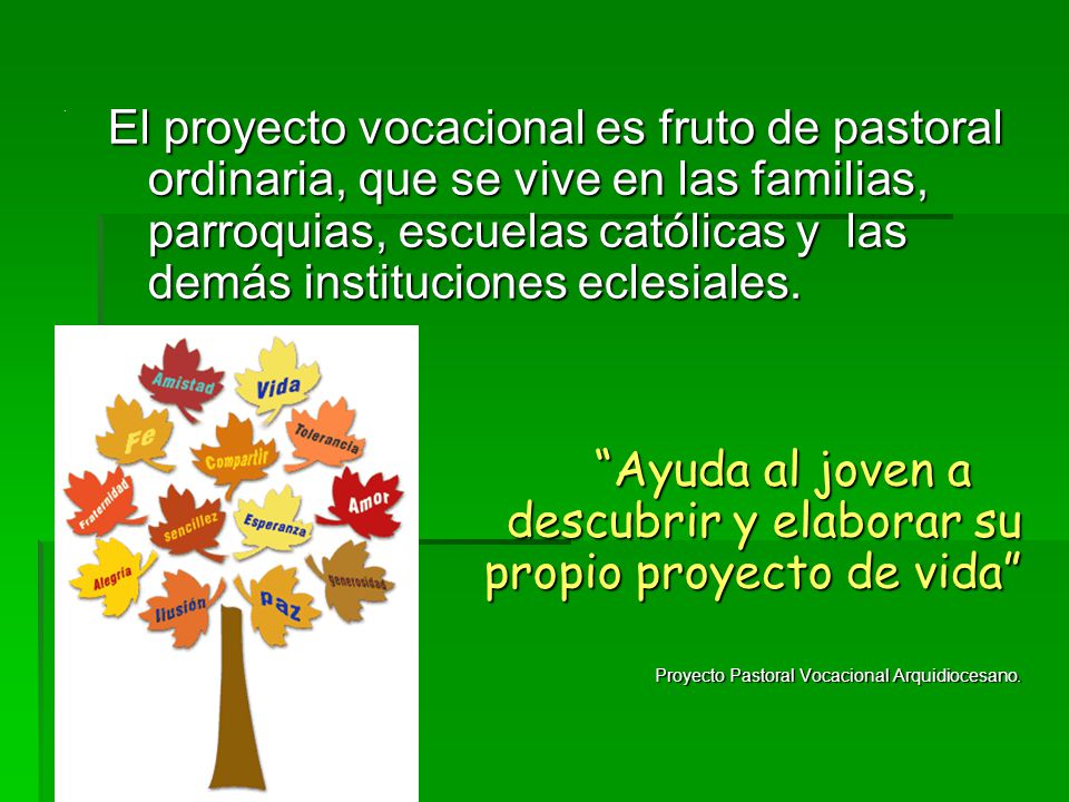 Ayuda al joven a descubrir y elaborar su propio proyecto de vida