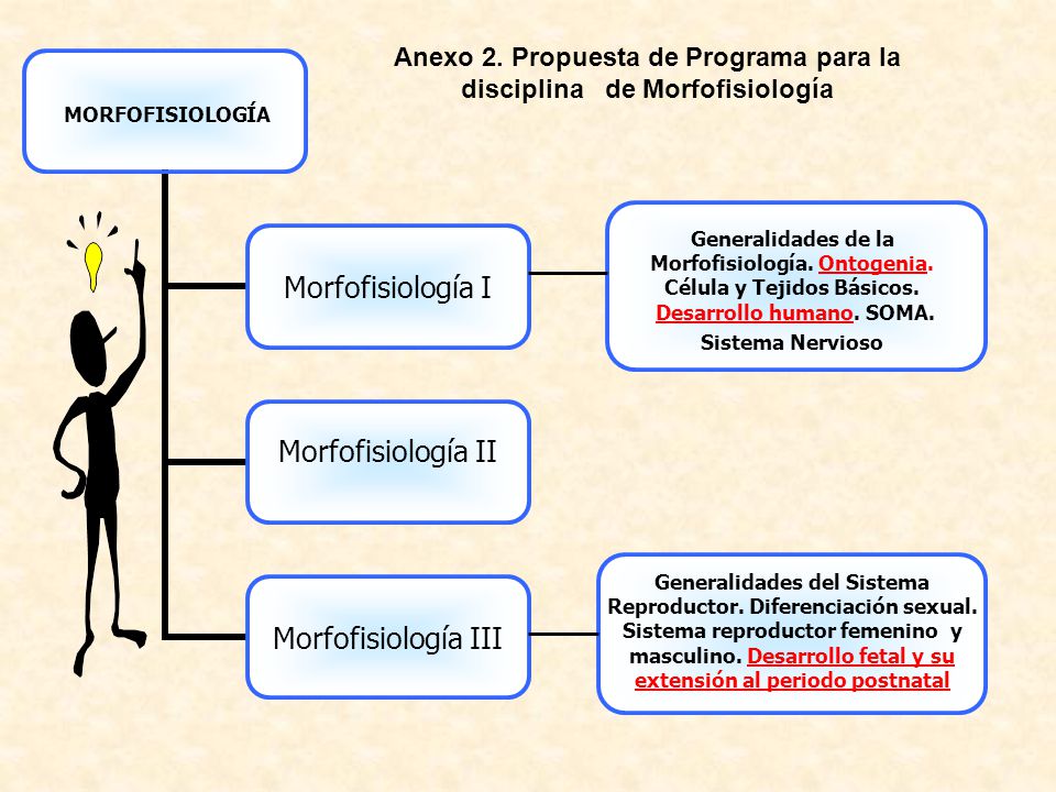 Anexo 2. Propuesta de Programa para la disciplina de Morfofisiología
