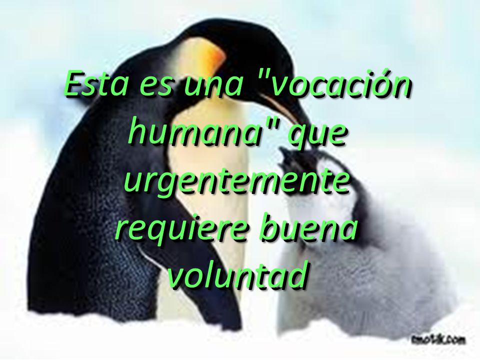Esta es una vocación humana que urgentemente requiere buena voluntad