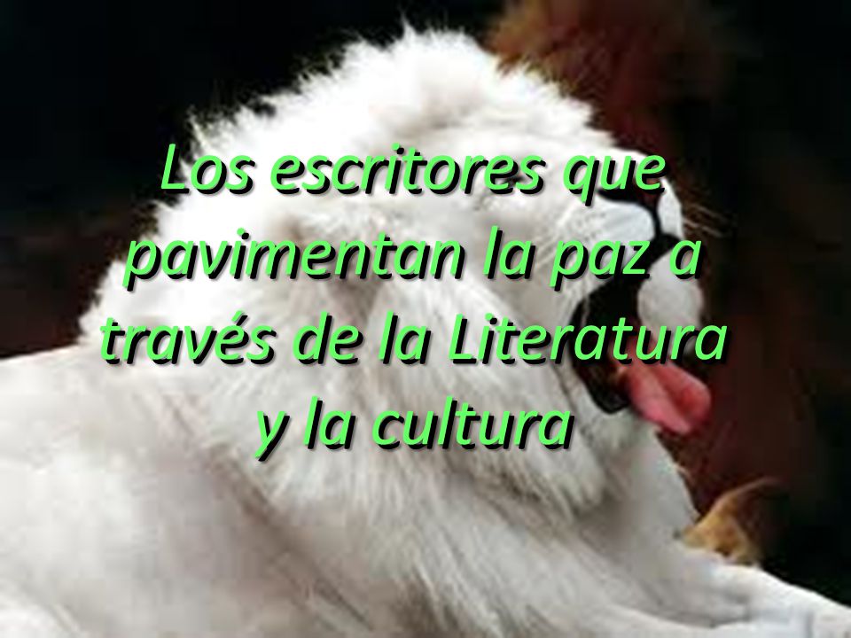 Los escritores que pavimentan la paz a través de la Literatura y la cultura