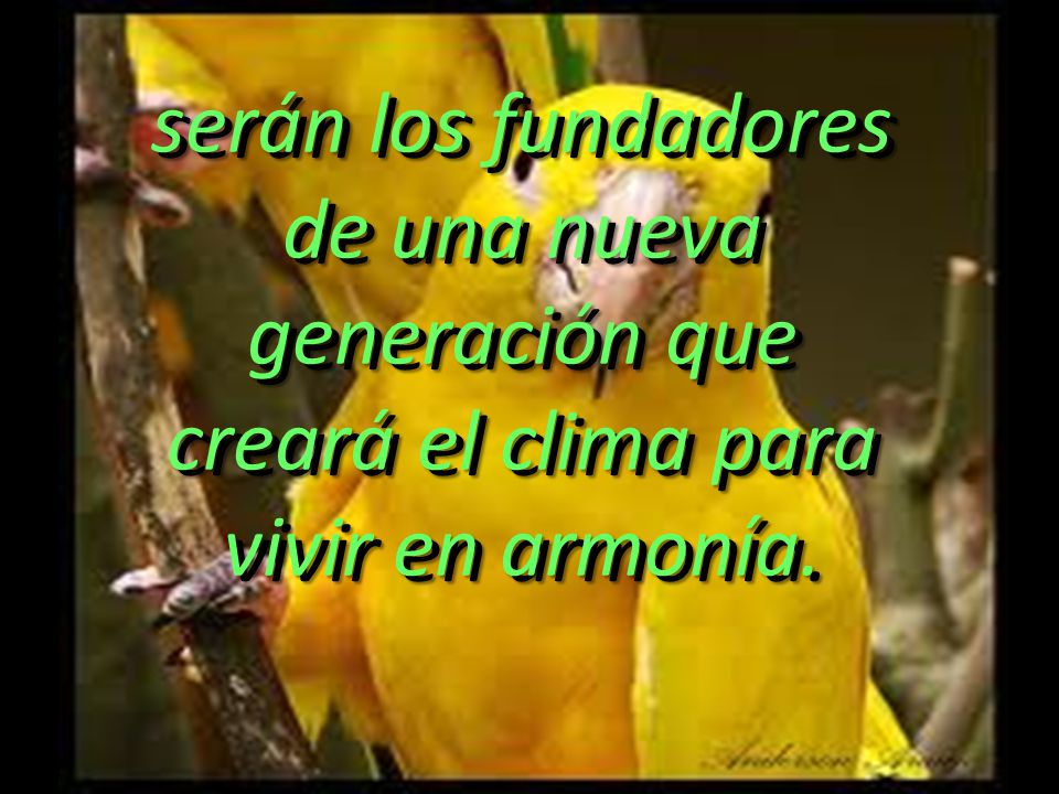 serán los fundadores de una nueva generación que creará el clima para vivir en armonía.
