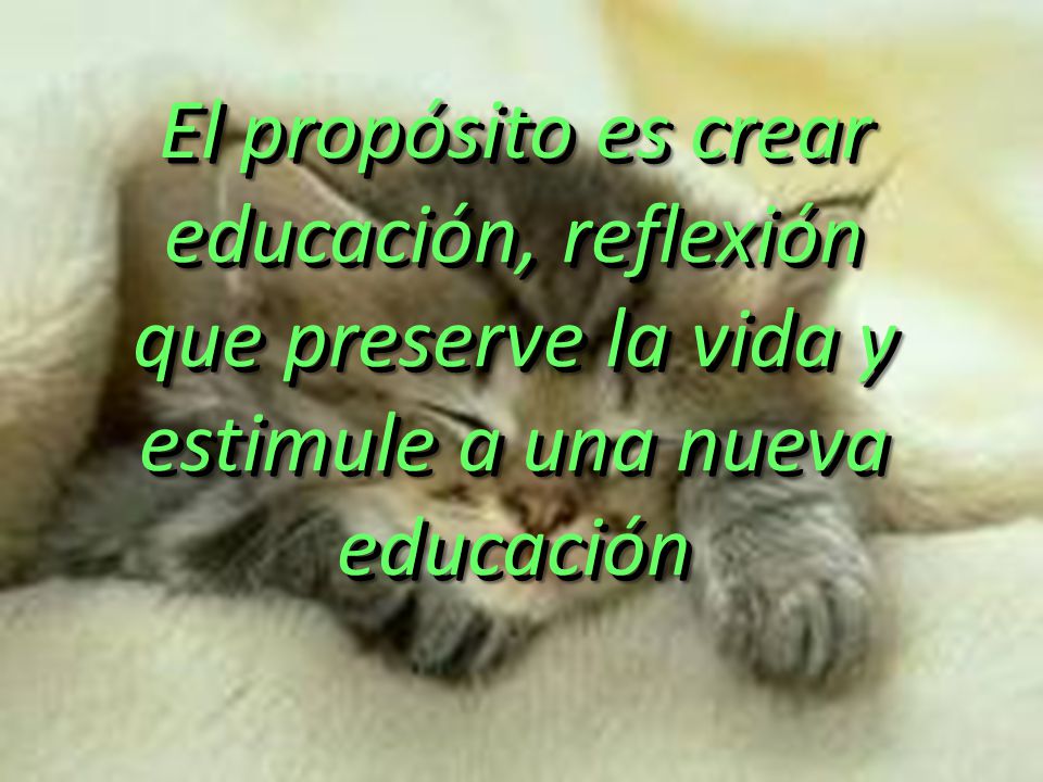 El propósito es crear educación, reflexión que preserve la vida y estimule a una nueva educación