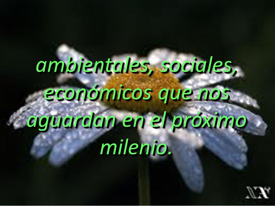 ambientales, sociales, económicos que nos aguardan en el próximo milenio.