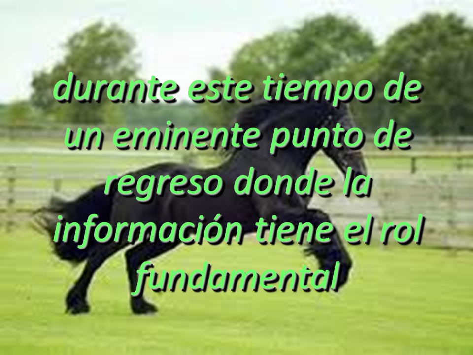 durante este tiempo de un eminente punto de regreso donde la información tiene el rol fundamental
