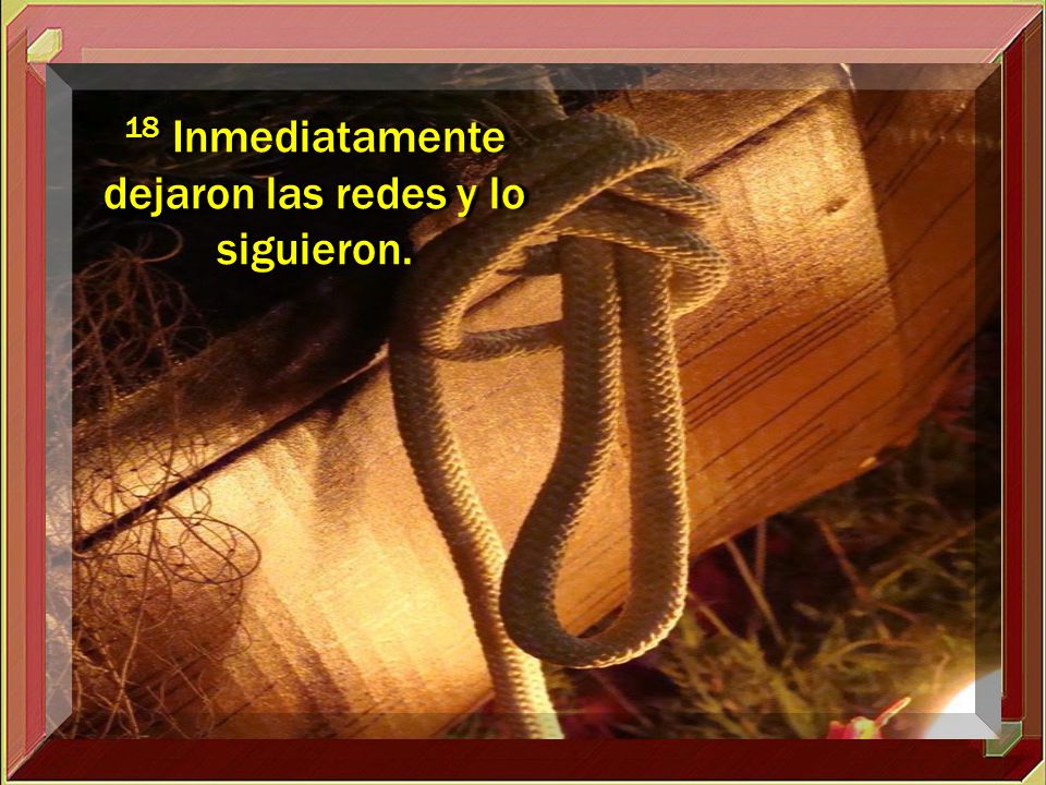 18 Inmediatamente dejaron las redes y lo siguieron.