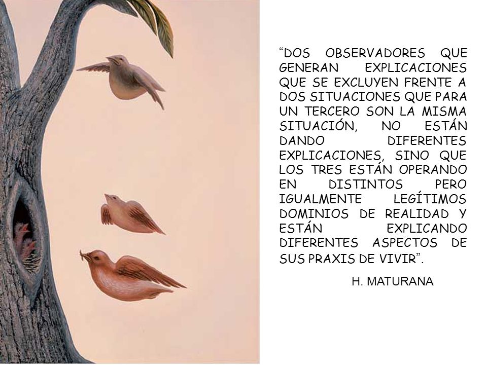DOS OBSERVADORES QUE GENERAN EXPLICACIONES QUE SE EXCLUYEN FRENTE A DOS SITUACIONES QUE PARA UN TERCERO SON LA MISMA SITUACIÓN, NO ESTÁN DANDO DIFERENTES EXPLICACIONES, SINO QUE LOS TRES ESTÁN OPERANDO EN DISTINTOS PERO IGUALMENTE LEGÍTIMOS DOMINIOS DE REALIDAD Y ESTÁN EXPLICANDO DIFERENTES ASPECTOS DE SUS PRAXIS DE VIVIR .