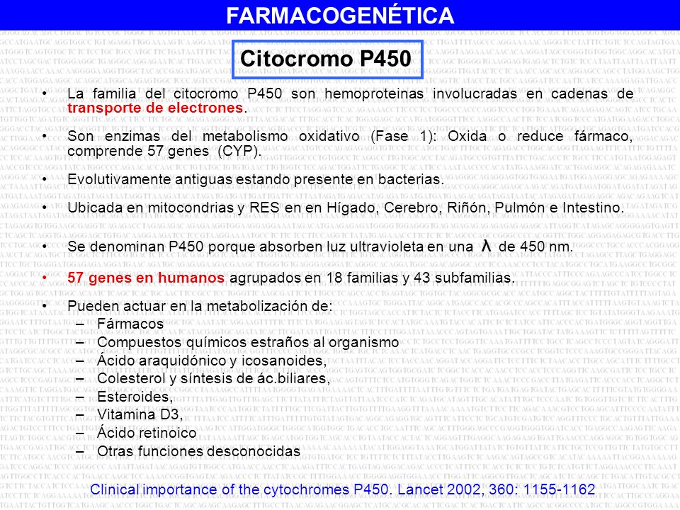 Citocromo P450 La familia del citocromo P450 son hemoproteinas involucradas en cadenas de transporte de electrones.