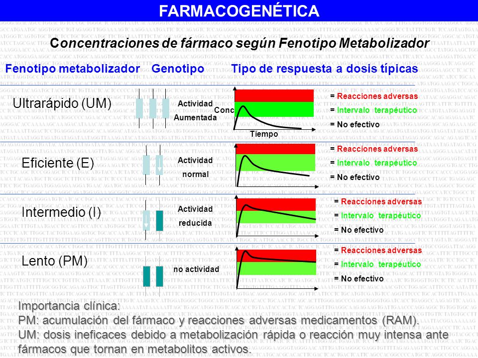 Concentraciones de fármaco según Fenotipo Metabolizador