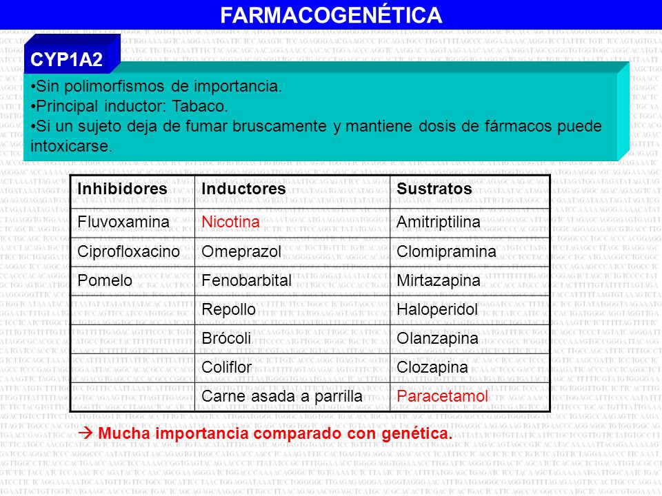CYP1A2 Sin polimorfismos de importancia. Principal inductor: Tabaco.