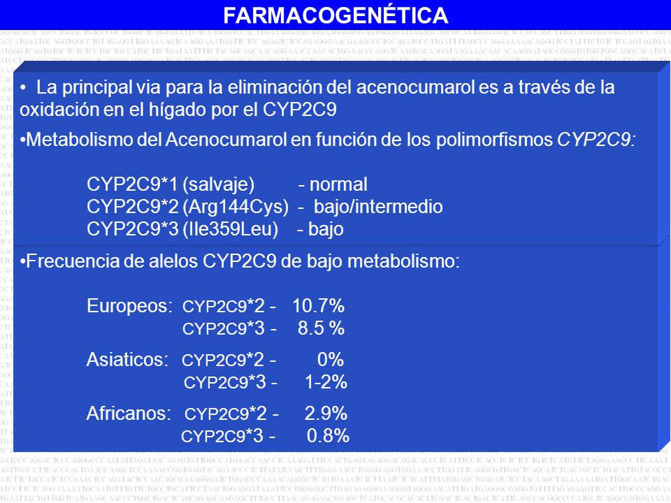 Metabolismo del Acenocumarol en función de los polimorfismos CYP2C9: