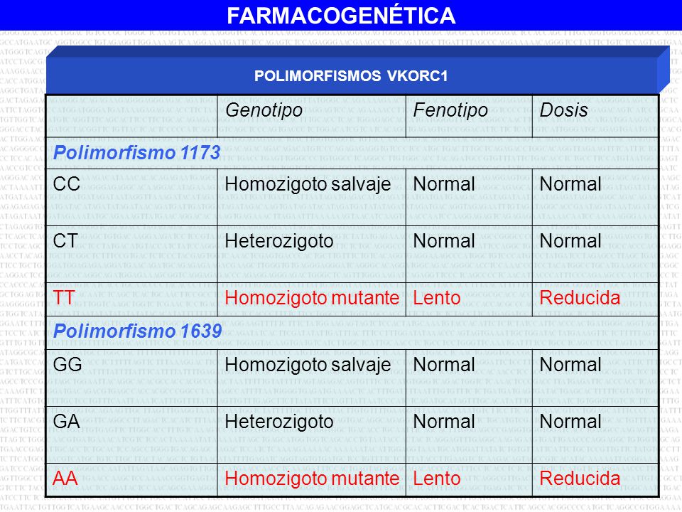 Genotipo Fenotipo Dosis Polimorfismo 1173 CC Homozigoto salvaje Normal