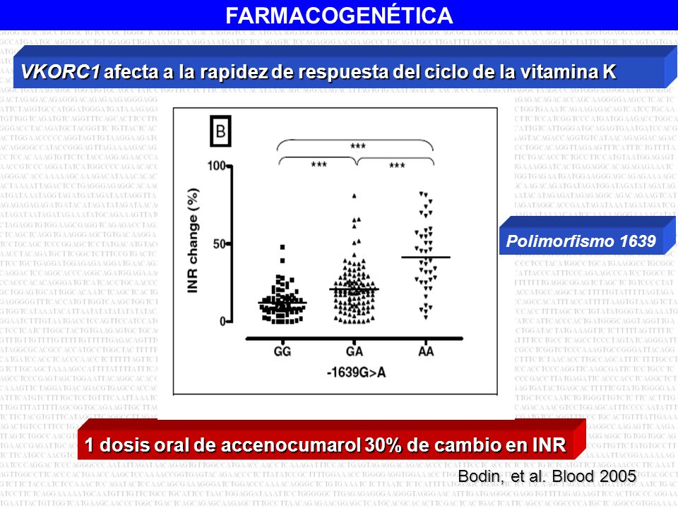 VKORC1 afecta a la rapidez de respuesta del ciclo de la vitamina K