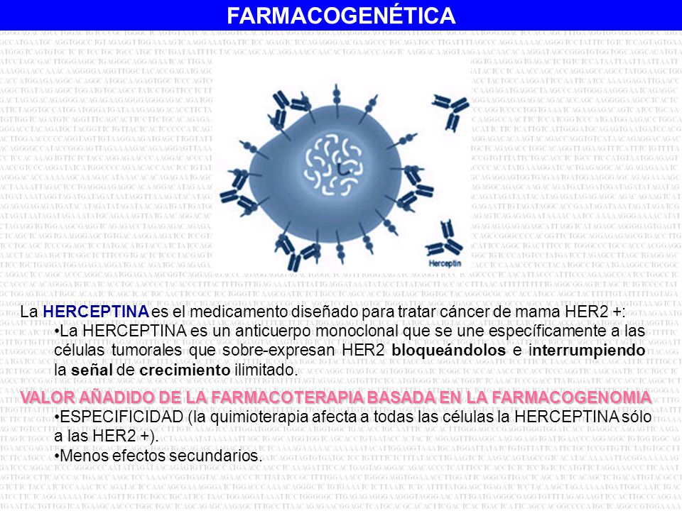 La HERCEPTINA es el medicamento diseñado para tratar cáncer de mama HER2 +: