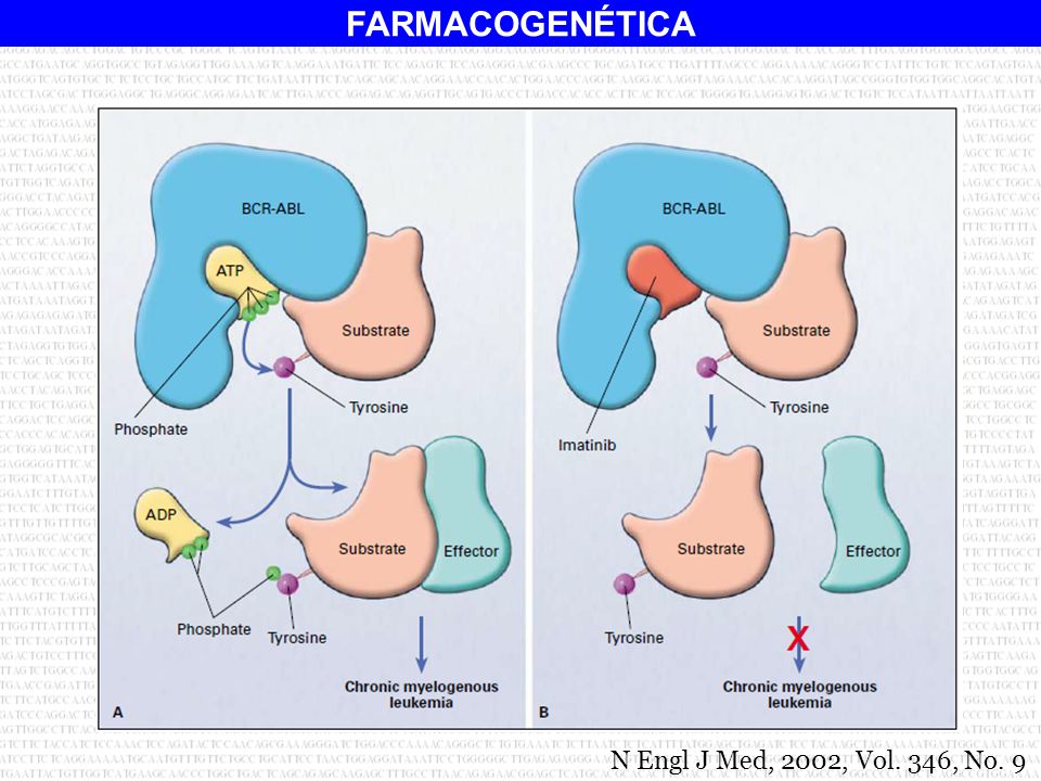 En la leucemia mieloide crónica, el cromosoma Filadelfia produce una fusión proteica de abl con bcr(breakpoint cluster region), llamada bcr-abl. Con ello se altera la síntesis proteica y se produce unatirosina kinasa activa continuamente. El imatinib es usado para disminuir la actividad de la tirosina kinasa producida por la traslocación bcr-abl.