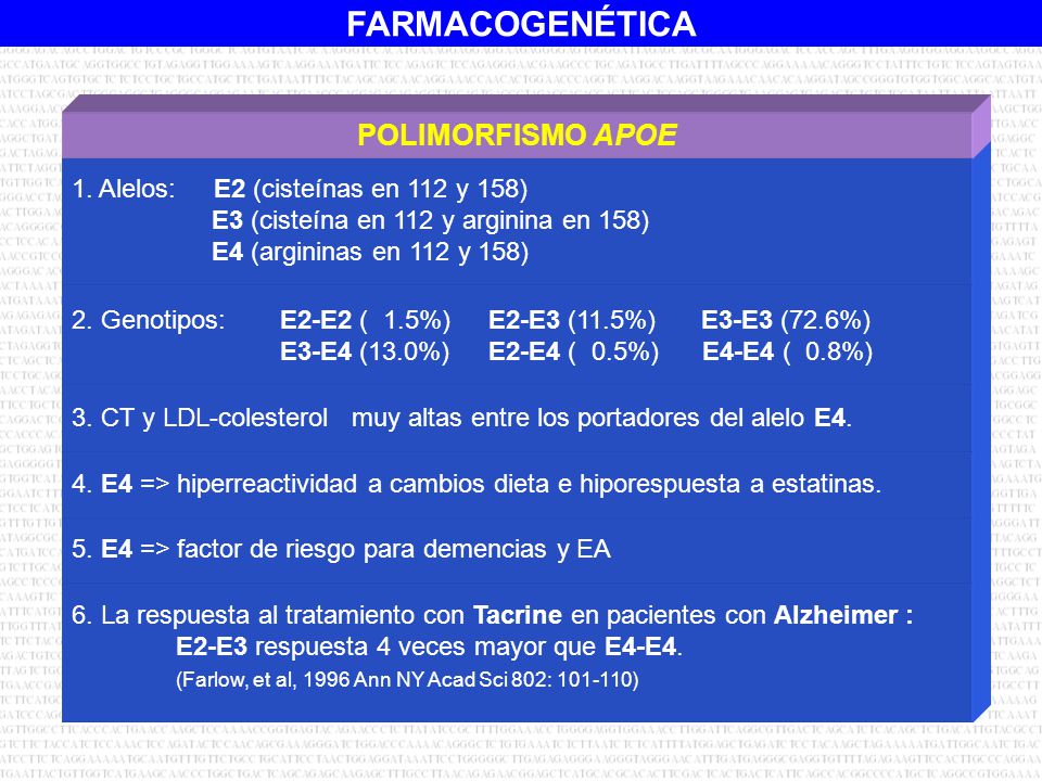POLIMORFISMO APOE 1. Alelos: E2 (cisteínas en 112 y 158)