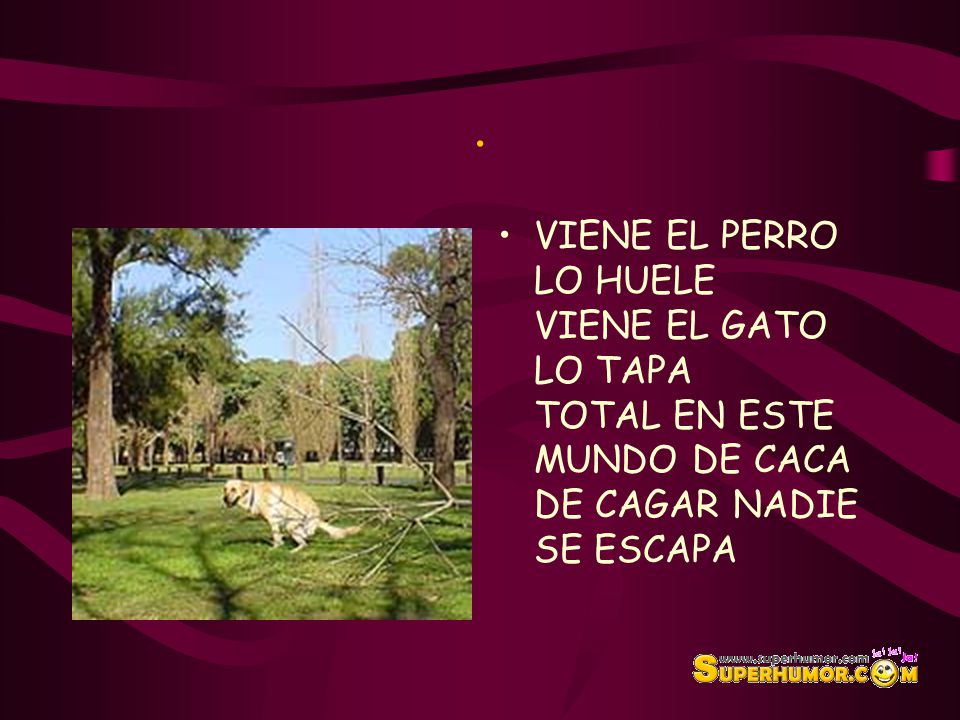 . VIENE EL PERRO LO HUELE VIENE EL GATO LO TAPA TOTAL EN ESTE MUNDO DE CACA DE CAGAR NADIE SE ESCAPA.