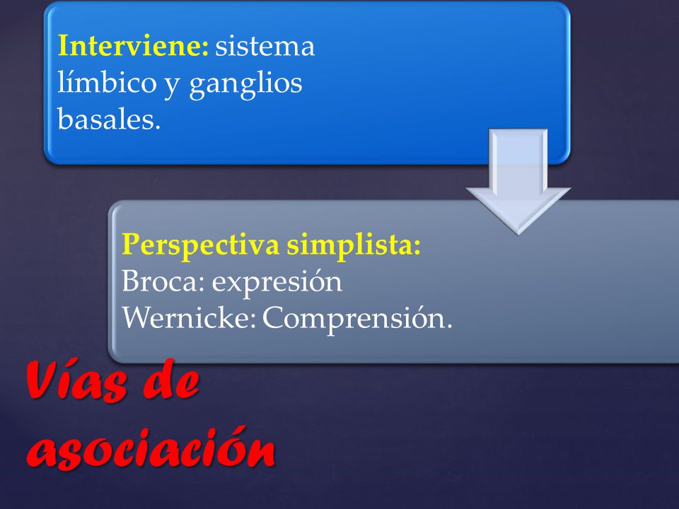 Vías de asociación Interviene: sistema límbico y ganglios basales.
