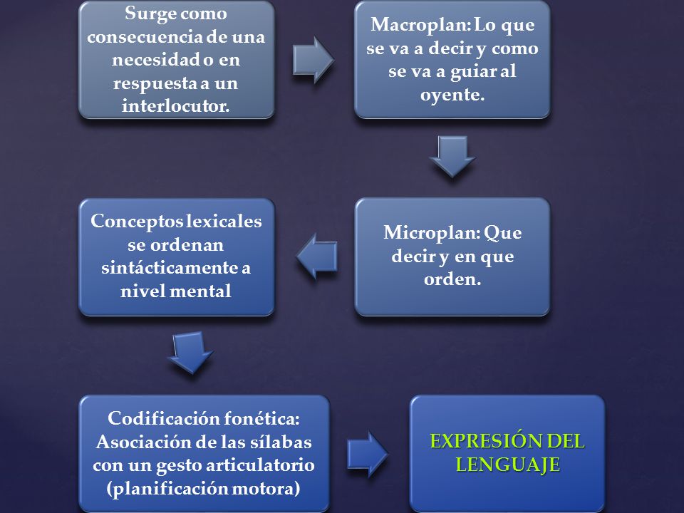 Macroplan: Lo que se va a decir y como se va a guiar al oyente.