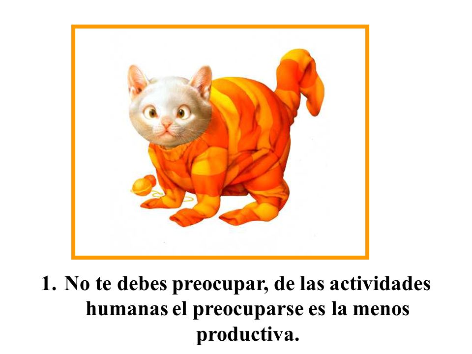 1. No te debes preocupar, de las actividades humanas el preocuparse es la menos productiva.