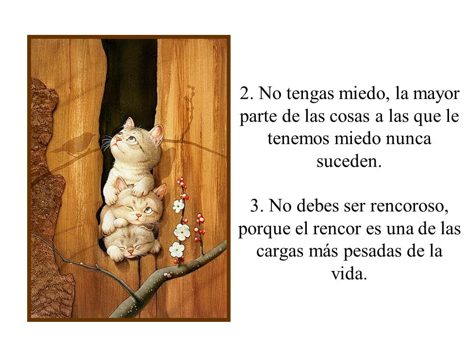 2. No tengas miedo, la mayor parte de las cosas a las que le tenemos miedo nunca suceden.