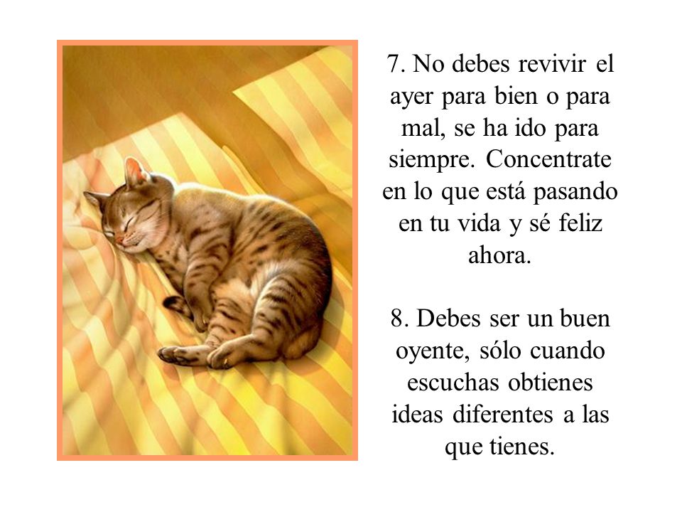7. No debes revivir el ayer para bien o para mal, se ha ido para siempre.