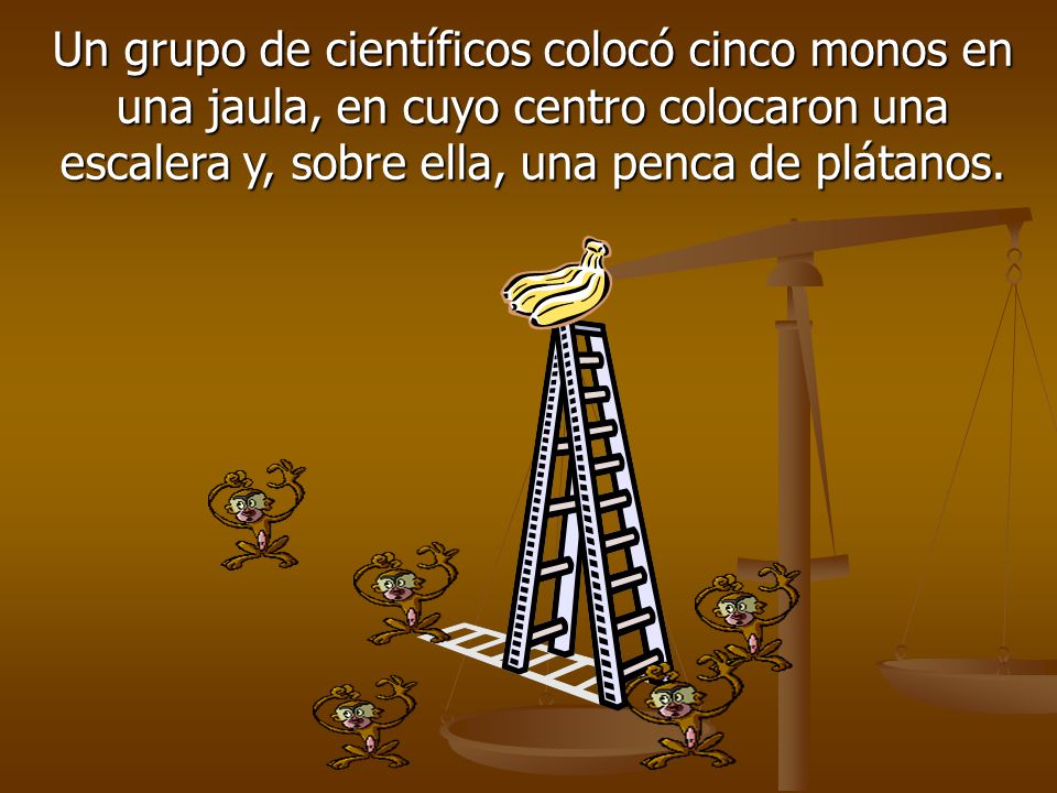 Un grupo de científicos colocó cinco monos en una jaula, en cuyo centro colocaron una escalera y, sobre ella, una penca de plátanos.