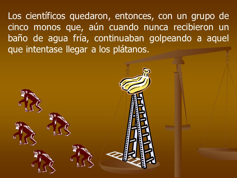 Los científicos quedaron, entonces, con un grupo de cinco monos que, aún cuando nunca recibieron un baño de agua fría, continuaban golpeando a aquel que intentase llegar a los plátanos.