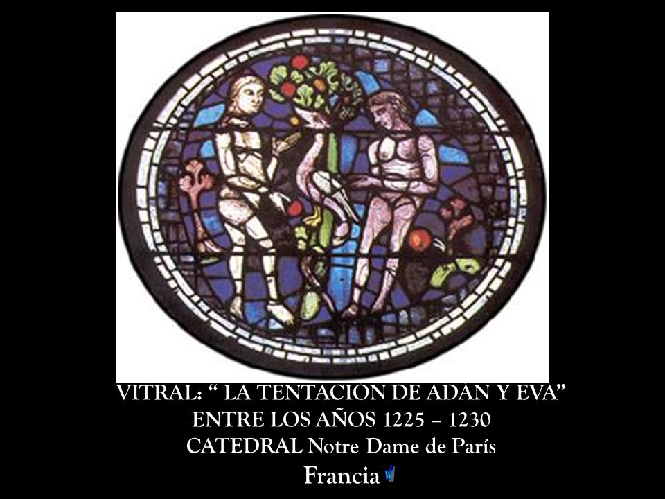 VITRAL: LA TENTACIÓN DE ADÁN Y EVA CATEDRAL Notre Dame de París