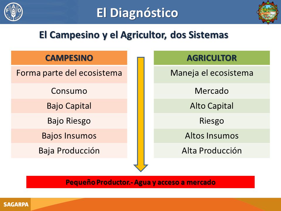 El Diagnóstico El Campesino y el Agricultor, dos Sistemas CAMPESINO