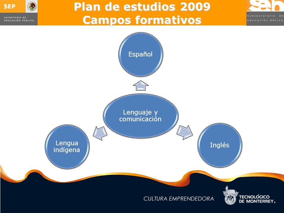 Plan de estudios 2009 Campos formativos