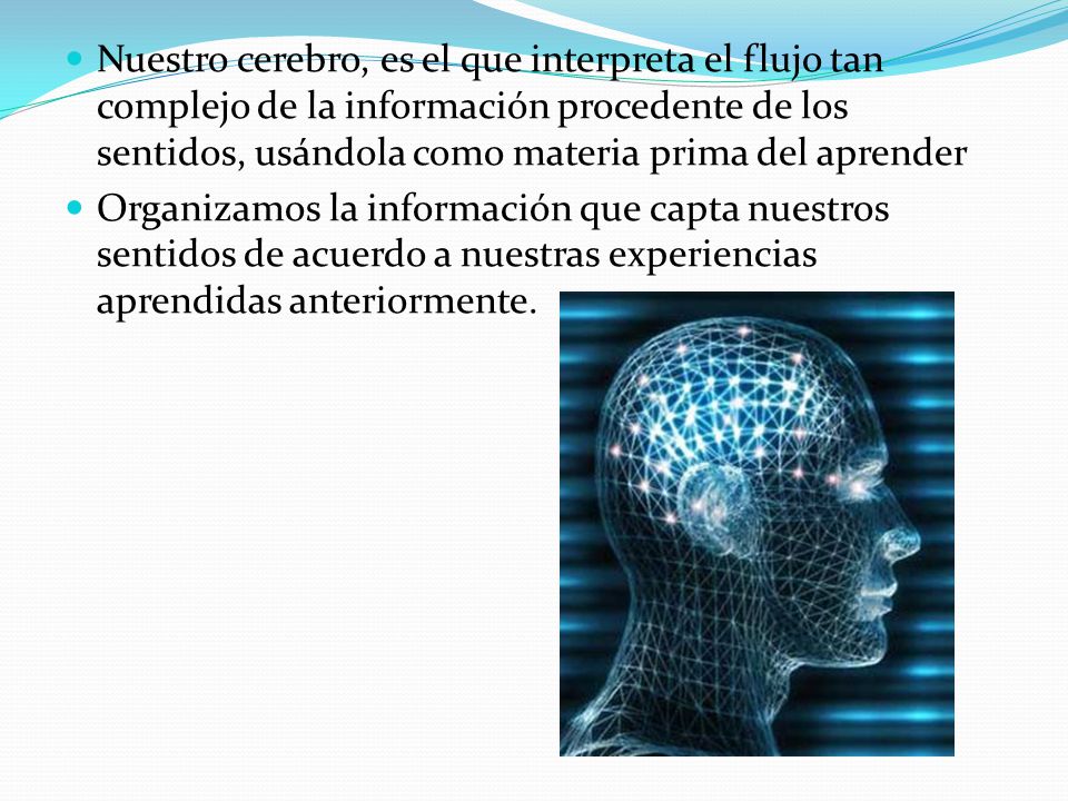 Nuestro cerebro, es el que interpreta el flujo tan complejo de la información procedente de los sentidos, usándola como materia prima del aprender