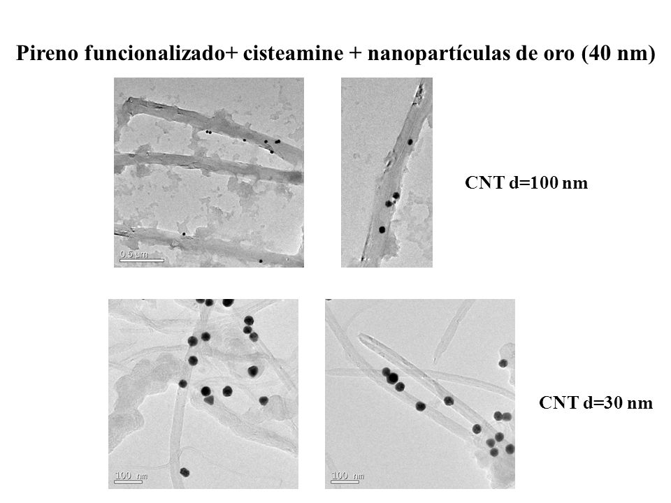 Pireno funcionalizado+ cisteamine + nanopartículas de oro (40 nm)
