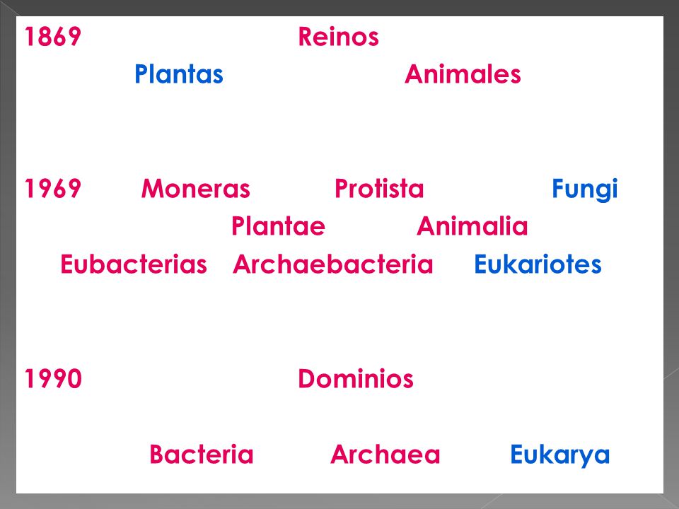 1869 Reinos Plantas Animales 1969 Moneras Protista Fungi Plantae Animalia Eubacterias Archaebacteria Eukariotes 1990 Dominios Bacteria Archaea Eukarya