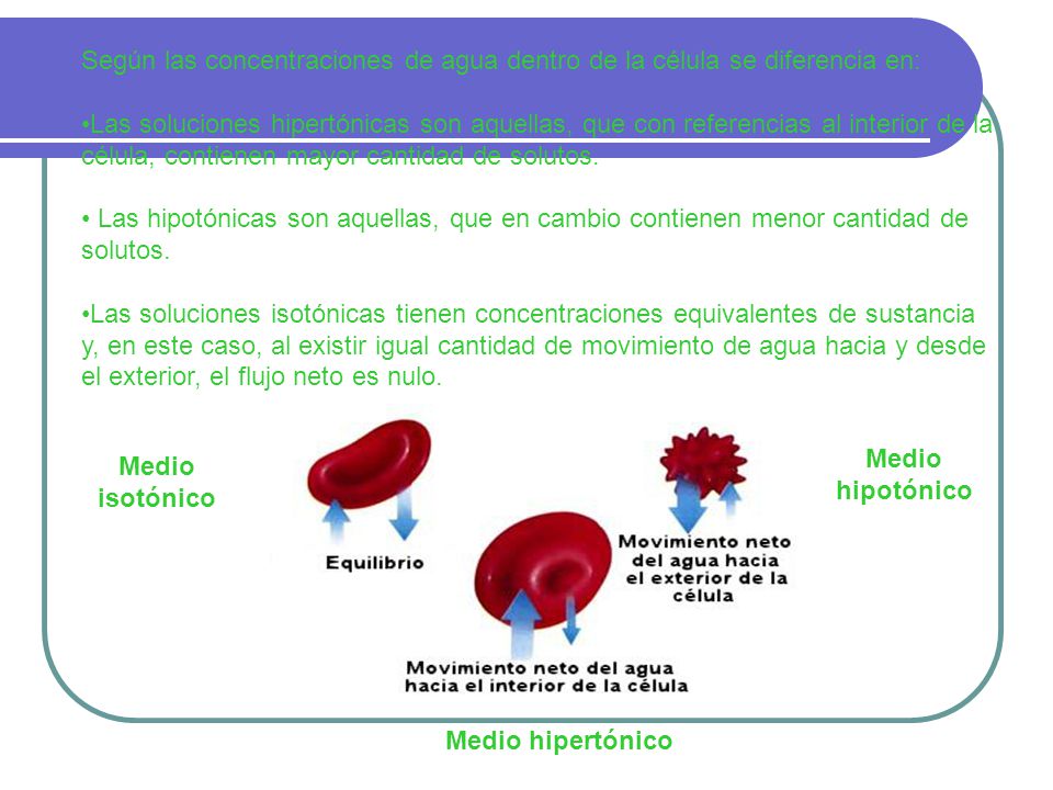 Según las concentraciones de agua dentro de la célula se diferencia en: