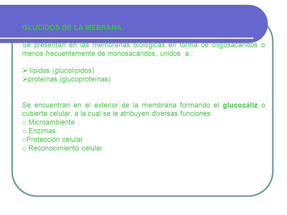 GLUCIDOS DE LA MEBRANA Se presentan en las membranas biológicas en forma de oligosacáridos o menos frecuentemente de monosacáridos, unidos a :